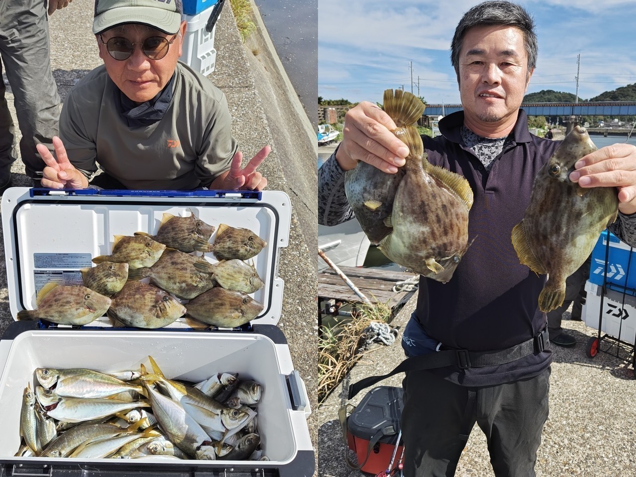 【釣果速報】千葉県フィッシュオン大勝でアジ・カワハギをGET！アジTOP71匹！人気魚種が一気に狙えると超人気！