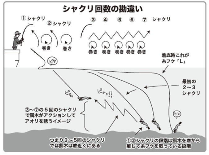 シャクリ回数の図