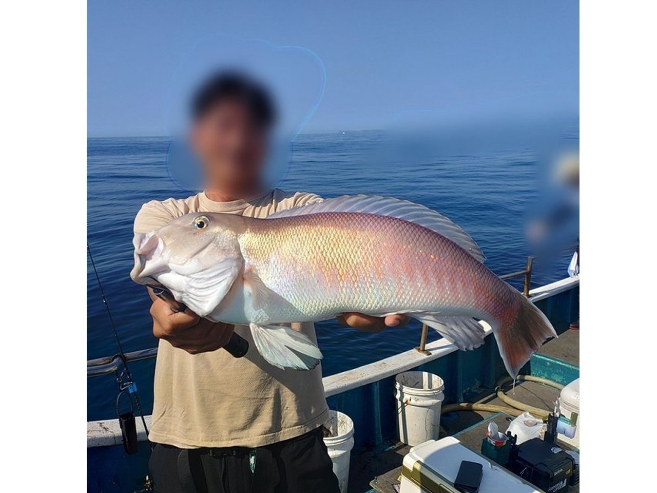 【釣果速報】和歌山県heyheyshipで超高級シロアマダイ53cmキャッチ！史上最高にラグジュアリーな釣行へGO！