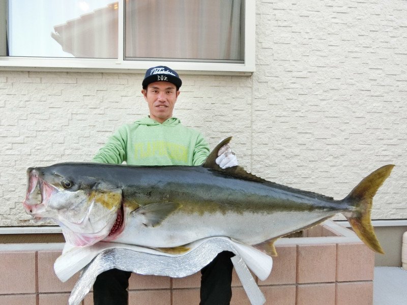 人　ヒラマサ　写真