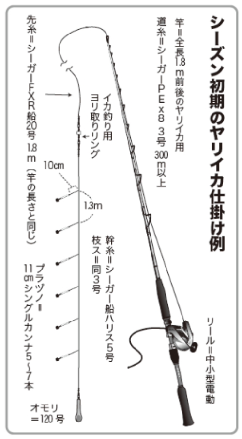 シーズン初期のヤリイカ仕掛け例