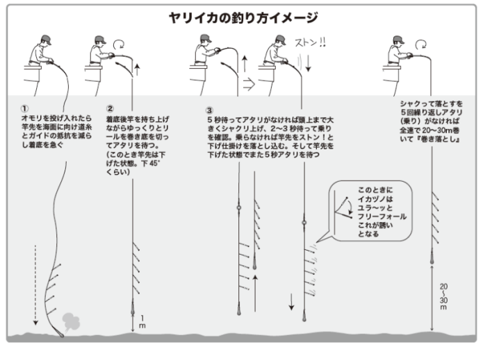 ヤリイカの釣り方イメージ