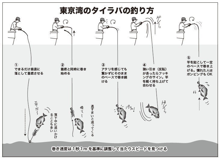 釣り方の図
