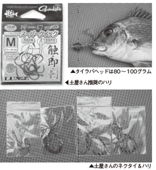 仕掛けの写真