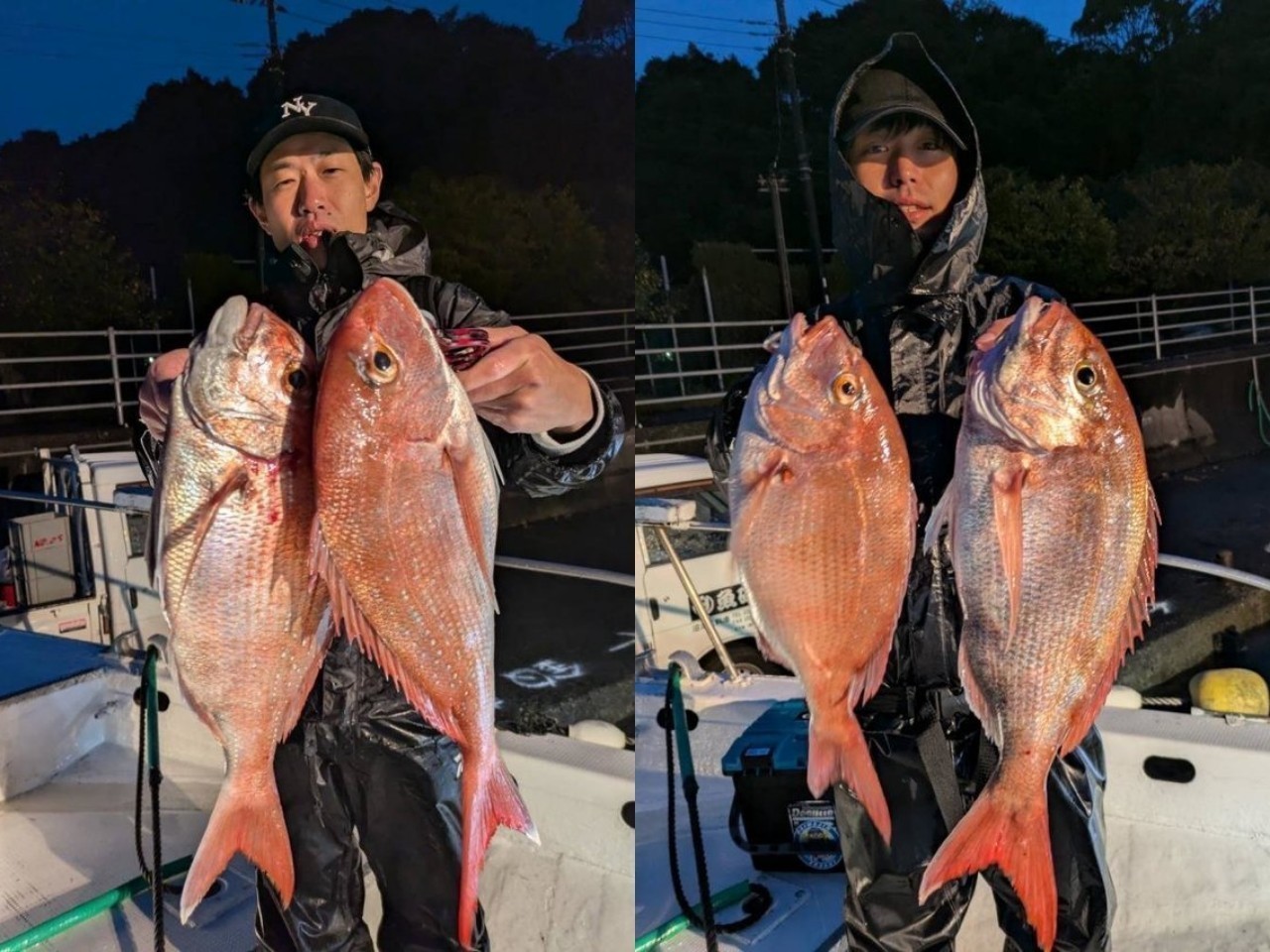 【釣果速報】雨も寒さも敵じゃない！マダイ・メジナ・イサキ・サバGET！多彩な魚種に出会うなら静岡県魚磯丸へ！        