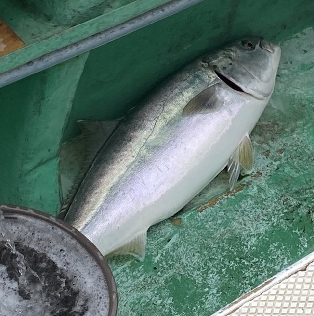 釣果