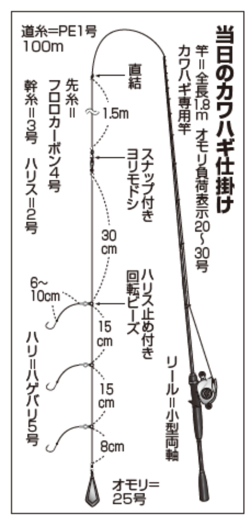 当日のカワハギ仕掛け
