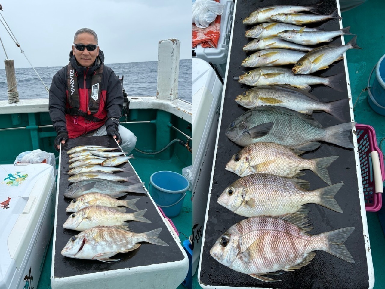 【釣果速報】メイチダイ・グレ・イサギと人気魚種が船内を彩る！和歌山県良栄丸でお土産たくさんゲットしよう！        