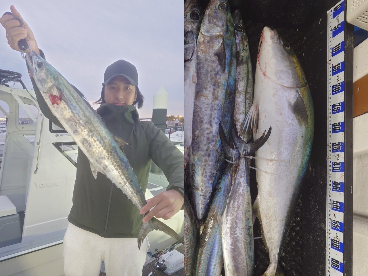 【釣果速報】広島県まさ丸でサワラGET！TOP9匹！引きも味も最高のサワラを今すぐ狙いに行って！        