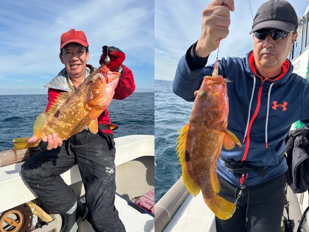 【釣果速報】アコウ、アラカブ、ネリゴ！福岡県木鶏丸に乗るとクーラーボックスが高級魚の宝石箱になるぞ！