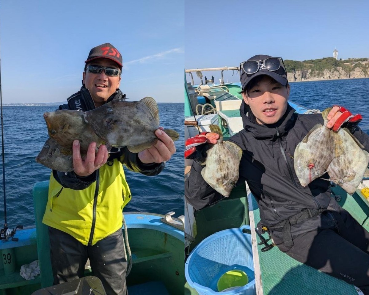【釣果速報】時間を追うごとにサイズアップする大興奮の釣行！神奈川県ゆうせい丸で尺クラスのカワハギをゲットしよう！