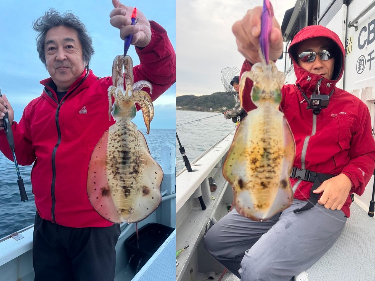 【釣果速報】良型の0.7kgアオリイカをゲット！千葉県赤沼丸で普段食べられない高級イカをゲットしよう！