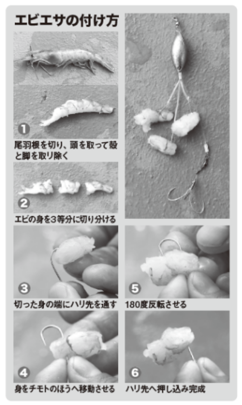 エビエサの付け方