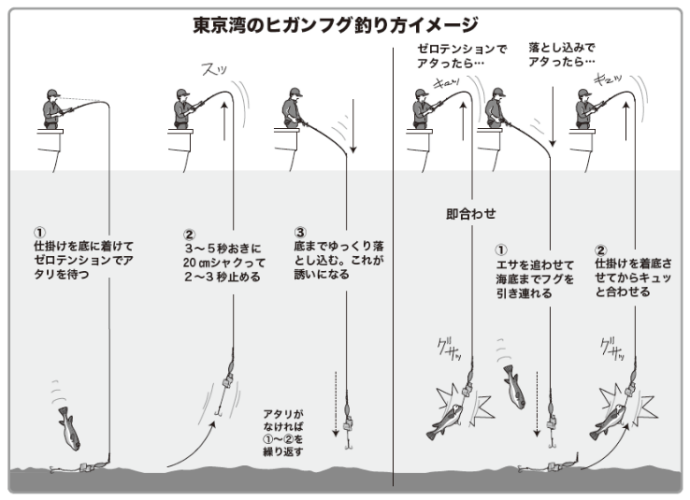 東京湾のヒガンフグ釣り方イメージ