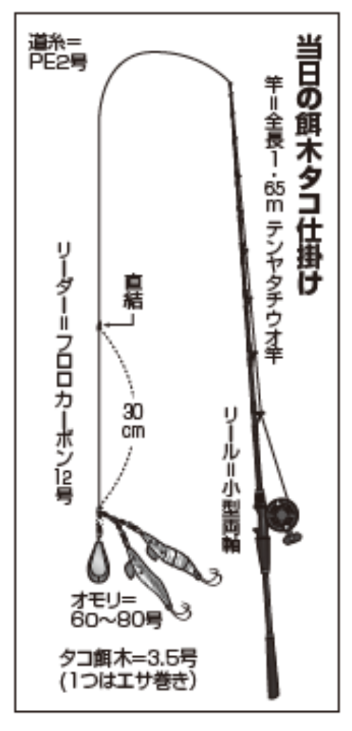 当日の餌木タコ仕掛け