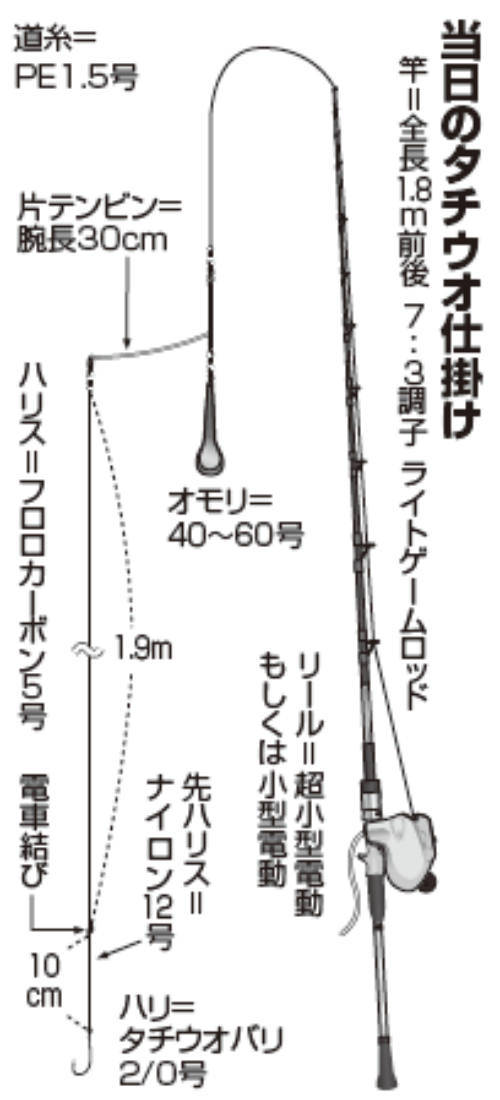 当日のタチウオ仕掛け