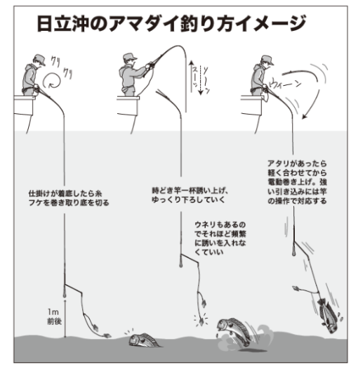 日立沖のアマダイ釣り方イメージ