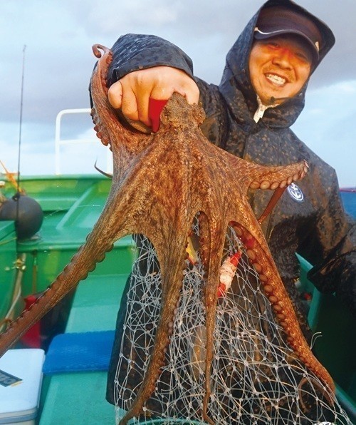 たこいか様確認用 渡りの大型が続々と浮上 鹿島沖のマダコ激アツ！
