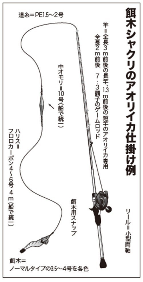 餌木シャクリで狙う南房のアオリイカ開幕
