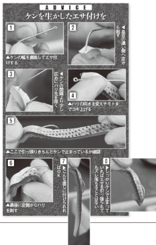 ケンを生かしたエサ付けを