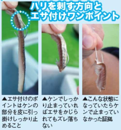 ハリを刺す方向とエサ付けワンポイント