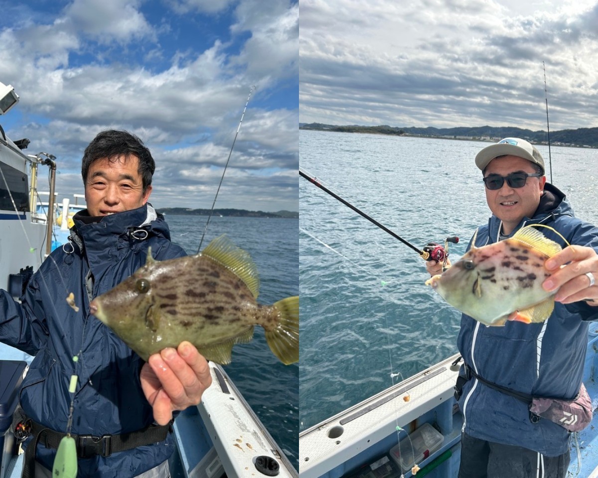 【釣果速報】千葉県早川丸で良型カワハギが一日中釣れる！帰港後、極旨天ぷらに！絶品カワハギをゲットできるのは今だけ！