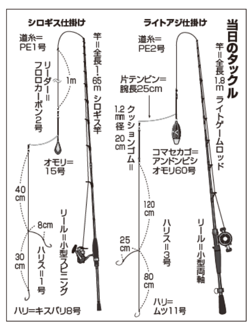 当日のタックル