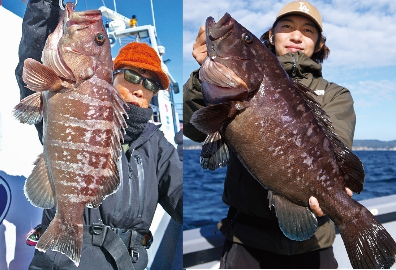 アジエサは食えばデカい！マハタは今、大型のチャンス