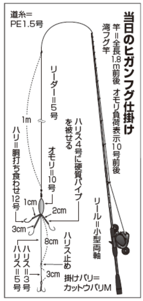 当日のヒガンフグ仕掛け