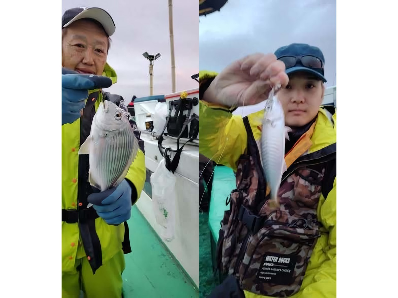 【釣果速報】40cm良型イナダ獲った！イシダイ・マダイも！神奈川県かりゆし丸で冬の王者をゲットしよう！