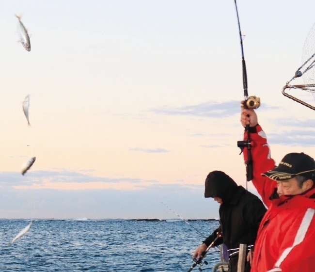 釣行の写真
