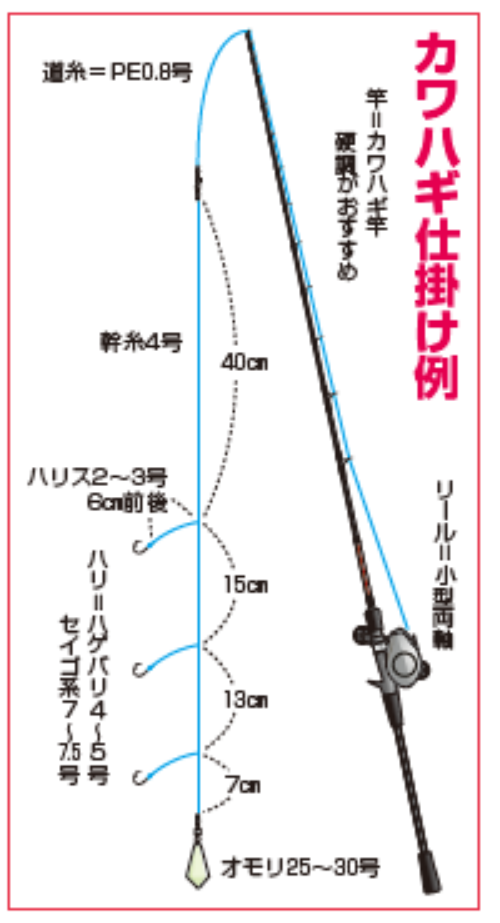 カワハギ仕掛け例