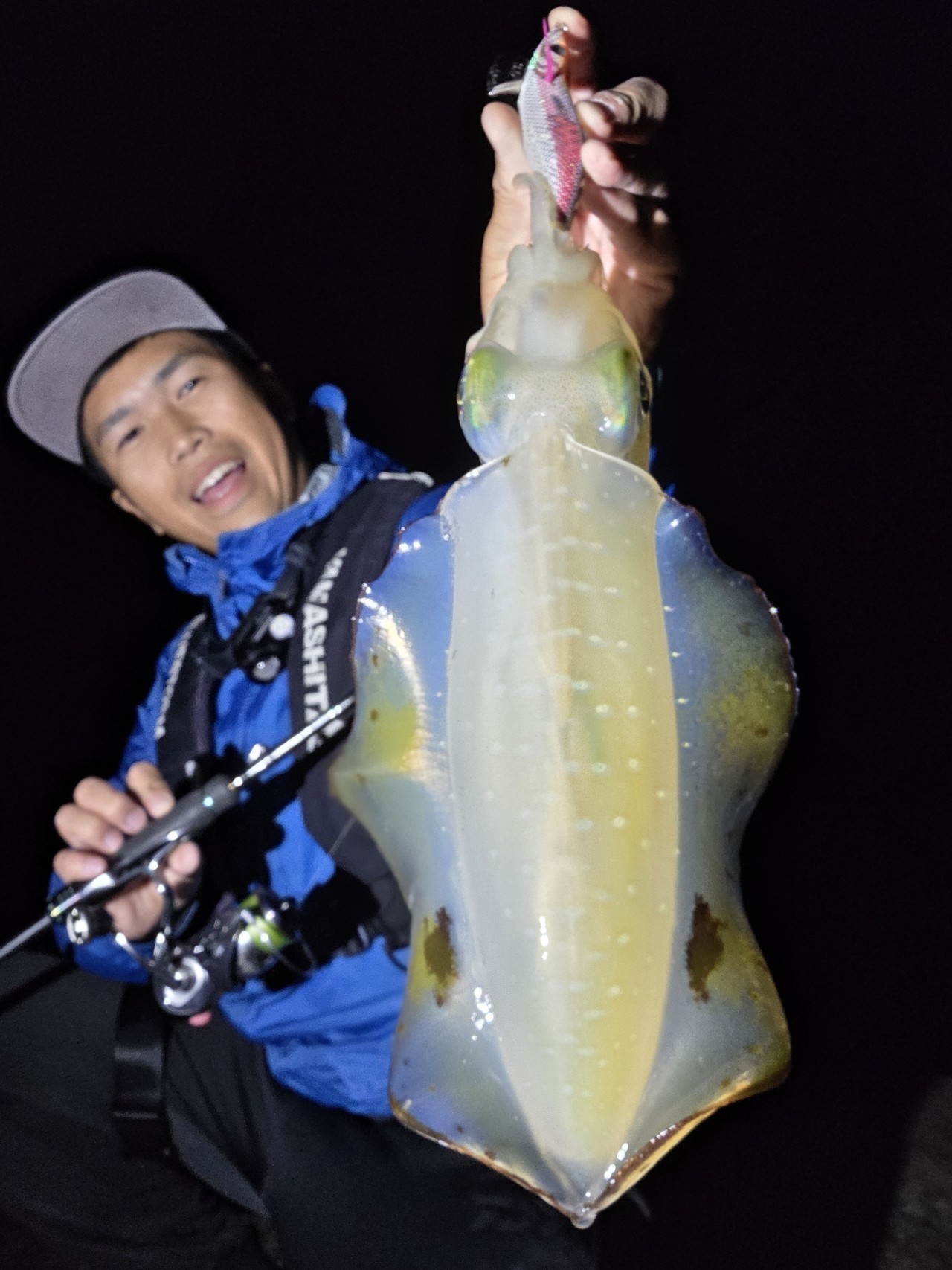 エギ王SEARCHでキャッチした500gほどのアオリイカ