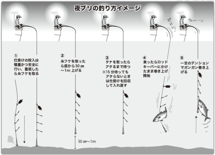 夜ブリの釣り方イメージ