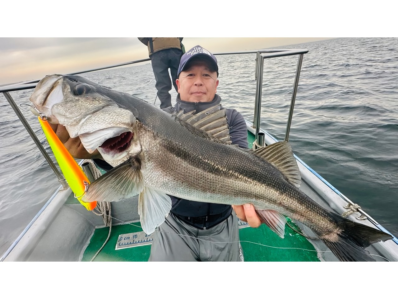 【釣果速報】千葉県TARGETで76cmの巨大シーバス釣れる！良型コノシロも！あなたも人気魚ハンターになりませんか？