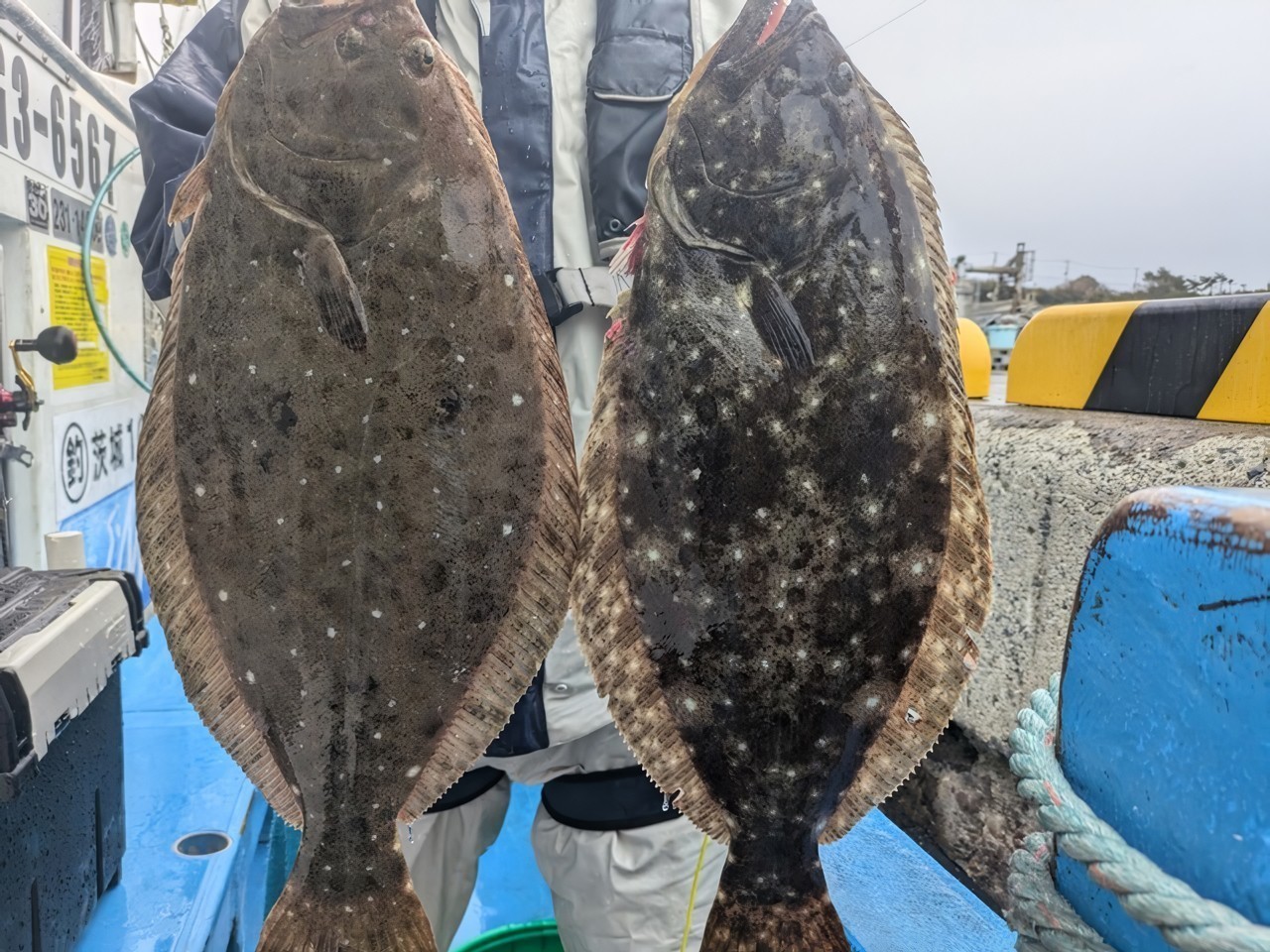 【釣果速報】茨城県宮田丸で2kg超えの巨大ヒラメゲット！大きさも質も大満足の釣行に出かけよう！