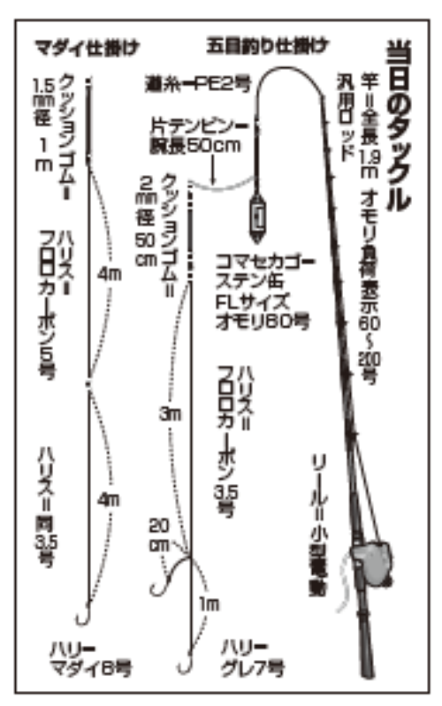 当日のタックル