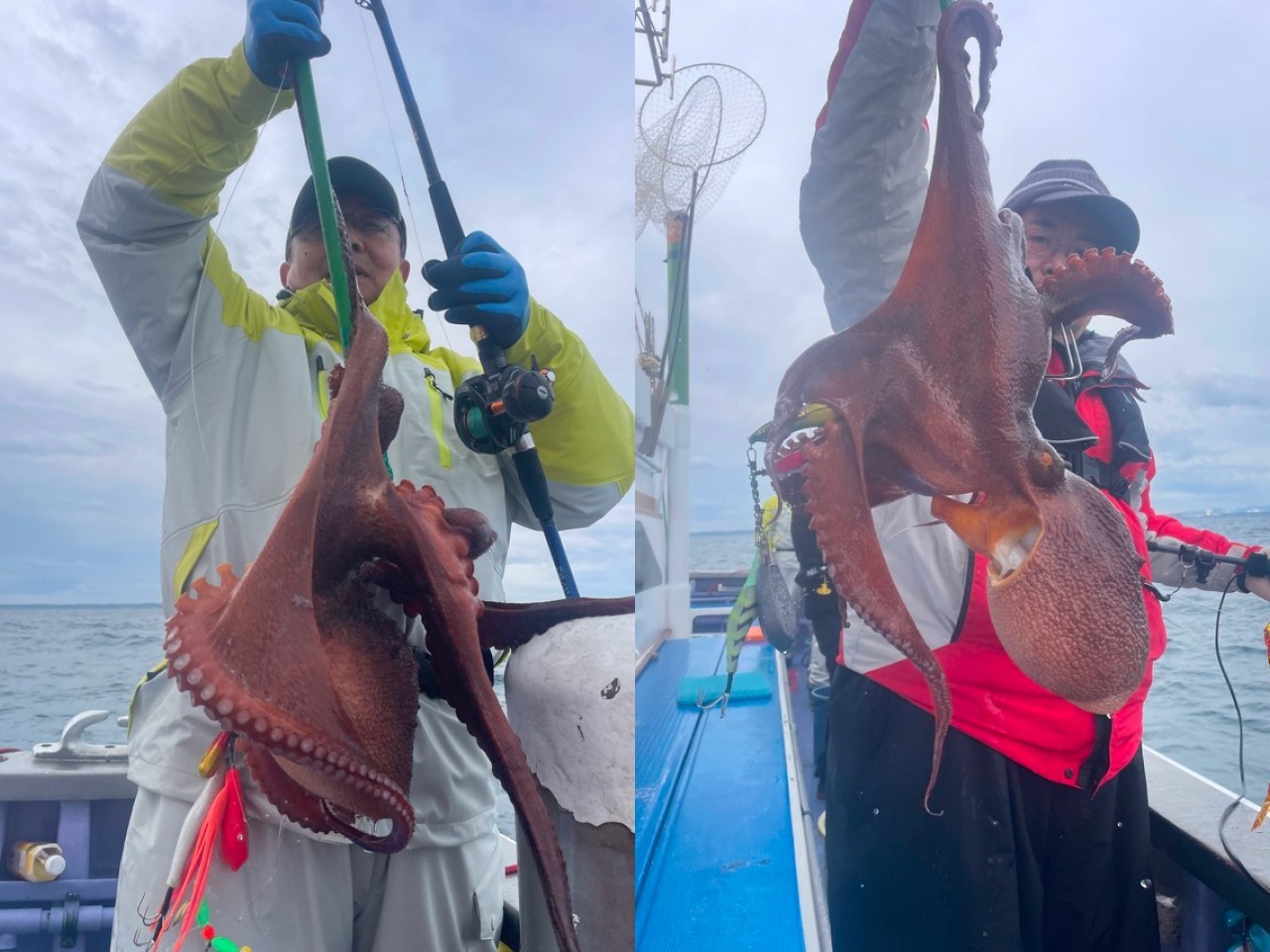 【釣果速報】茨城県日立丸で5.50kgの巨大マダコゲット！竿頭はど～んと7匹！年末に今年一番の思い出を作りに行こう！
