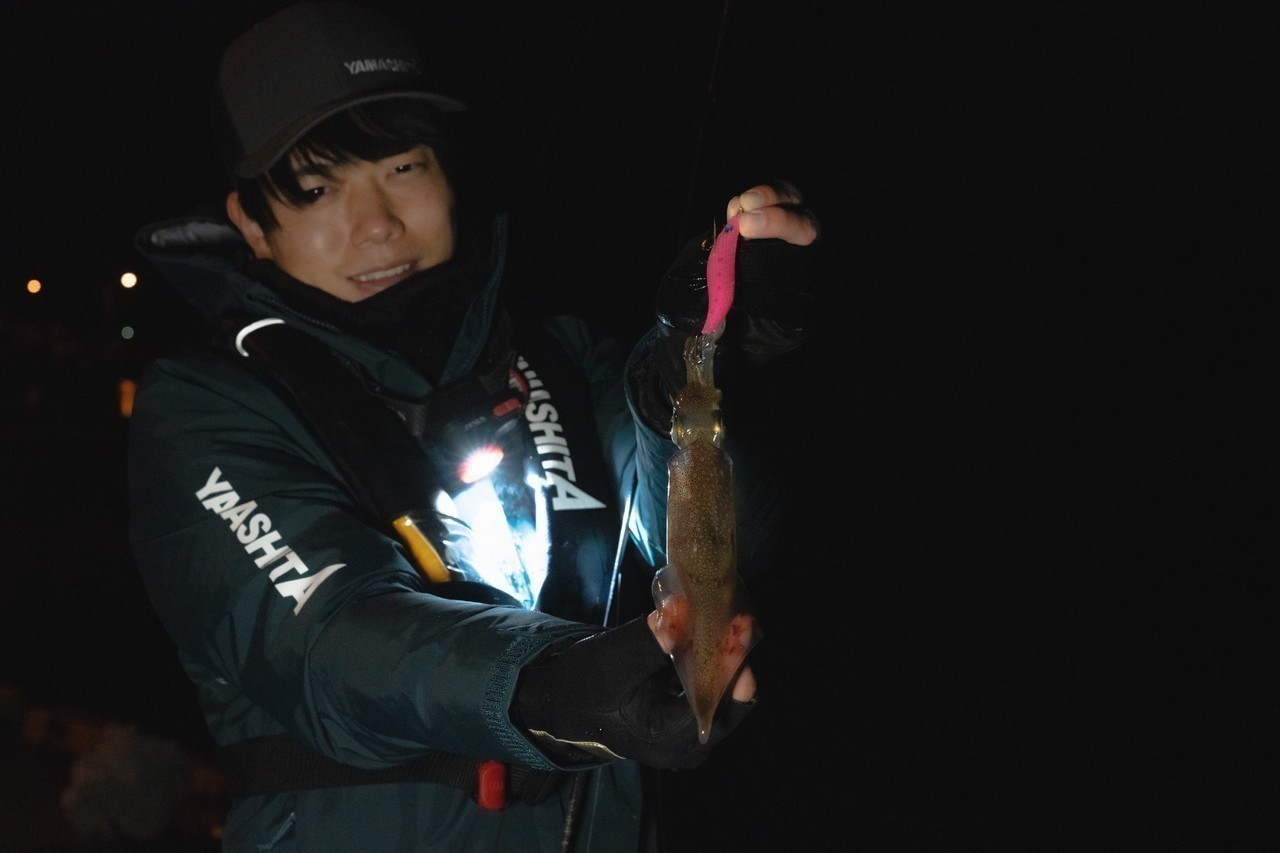 ベイトに寄って浮いているイカをシャローでキャッチ