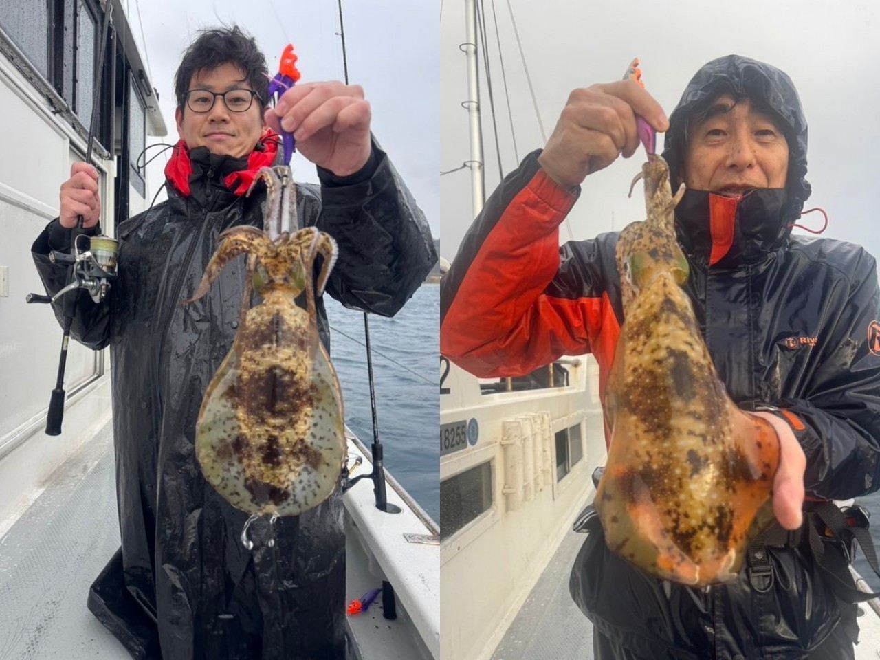 【釣果速報】ダブルヒット、連チャンありでアオリイカをゲット！千葉県赤沼丸で普段食べられない高級イカをゲットしよう！