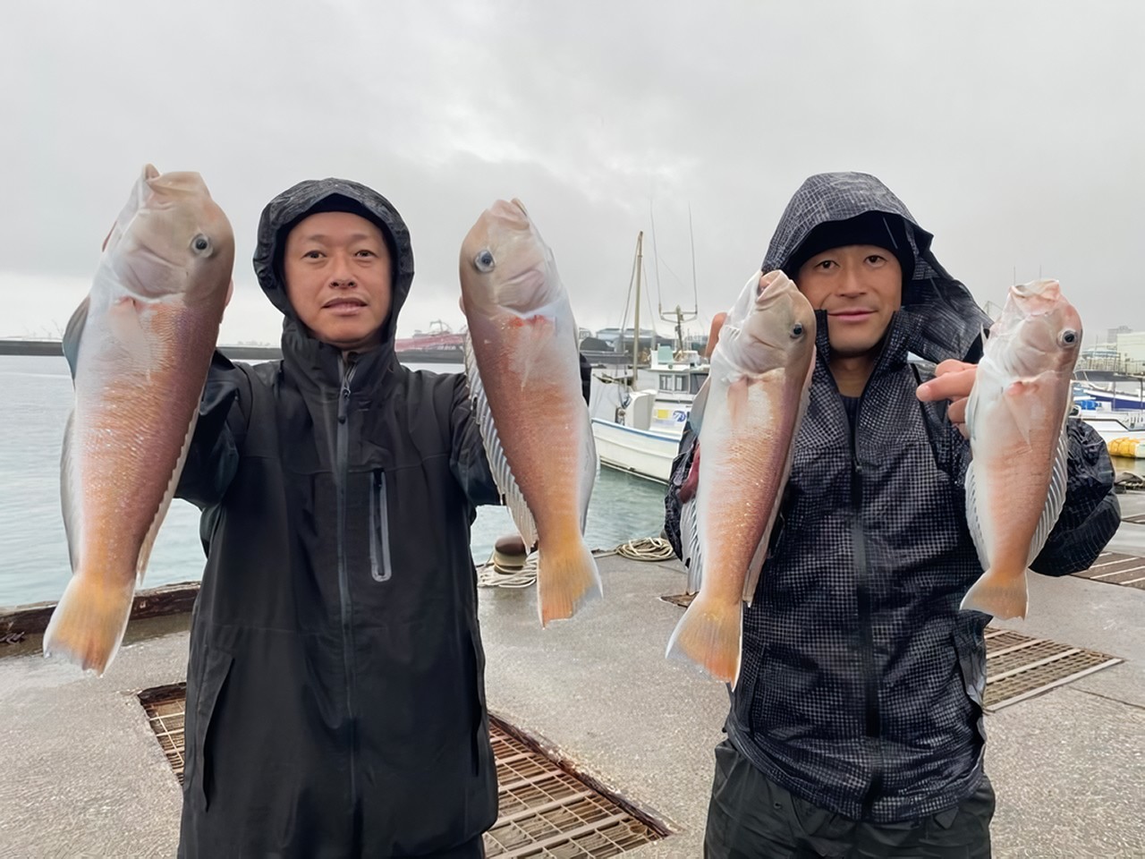 【釣果速報】静岡県山大丸でシロアマダイ最大38cmヒット！釣り人が憧れる幻のターゲットをその手でゲットせよ！