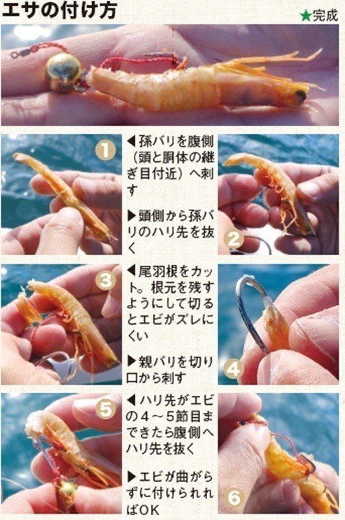 エサの付け方の写真