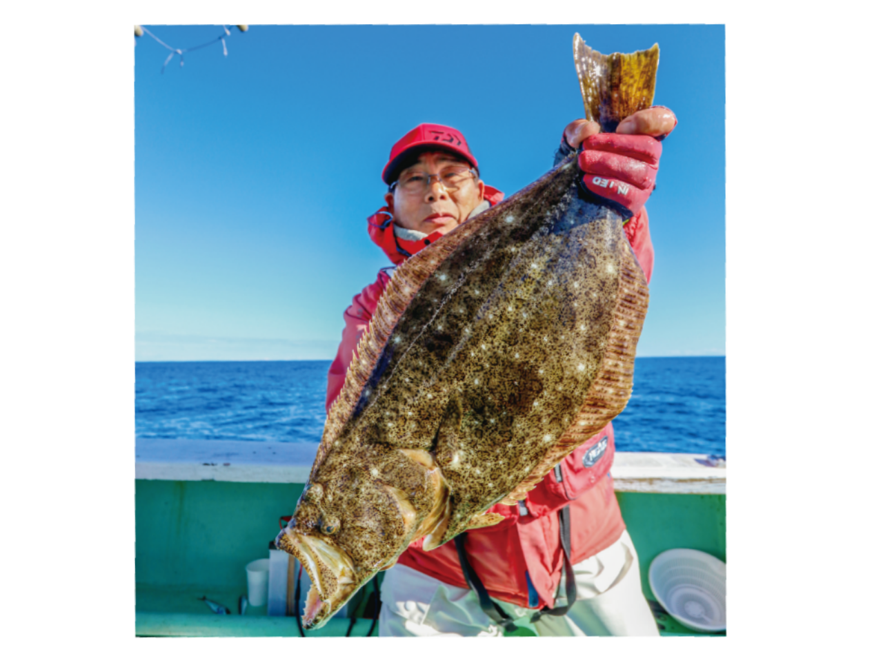 大洗のヒラメは新年も有望イワシ着きの大型に注目！
