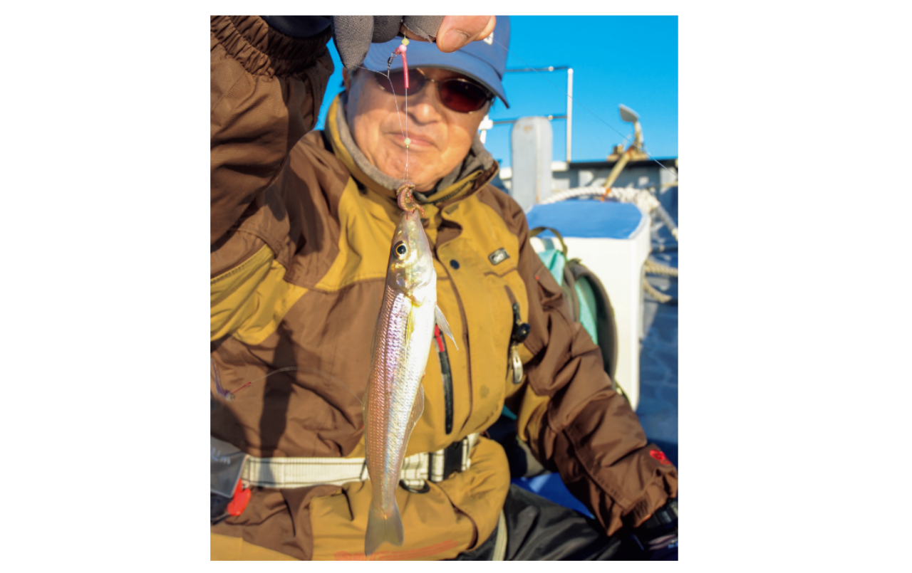 東京湾の冬キス順調狙うは中ノ瀬の20m