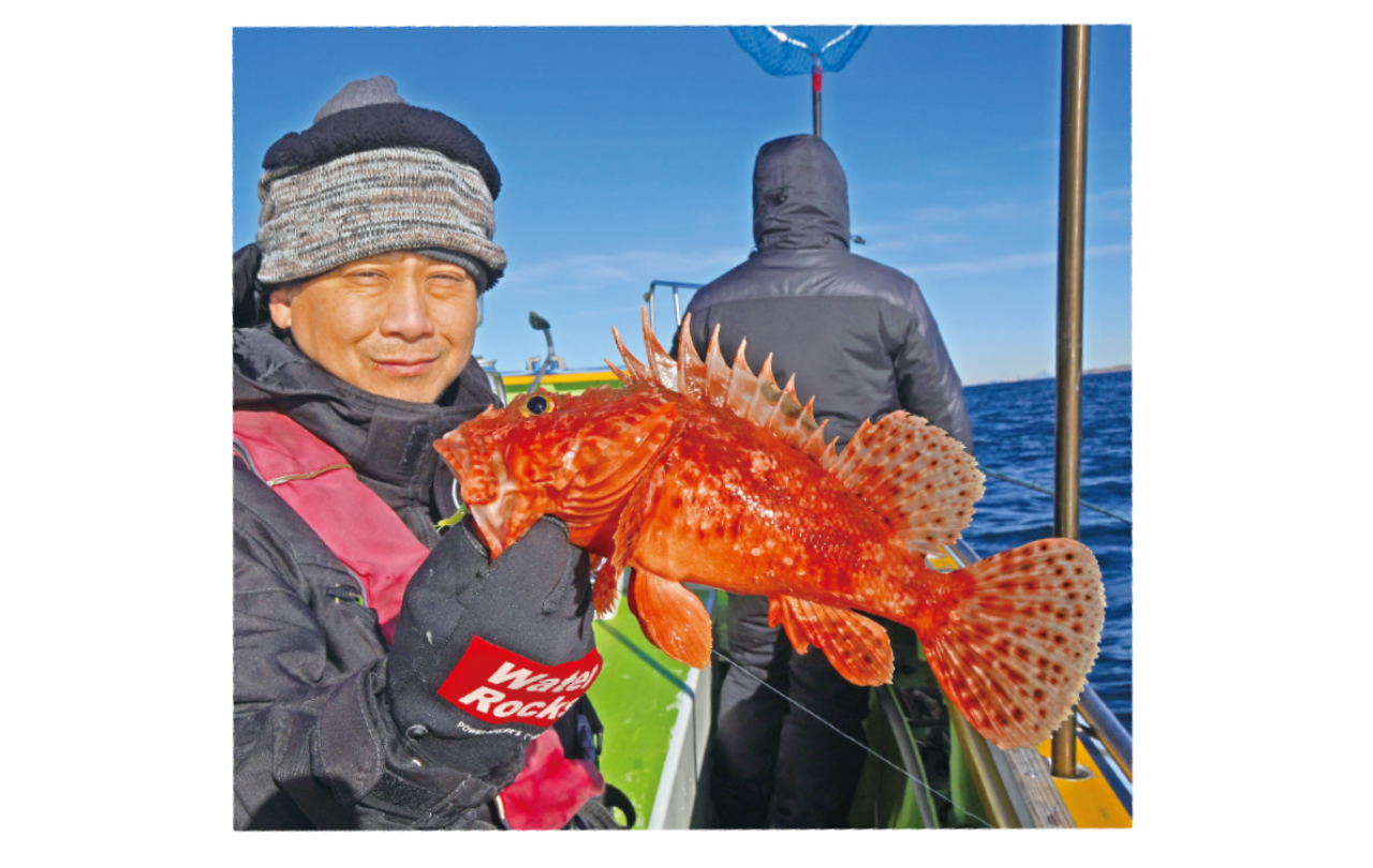 深くないのがウリ＆魅力！湾奥オニカサゴ好期突入