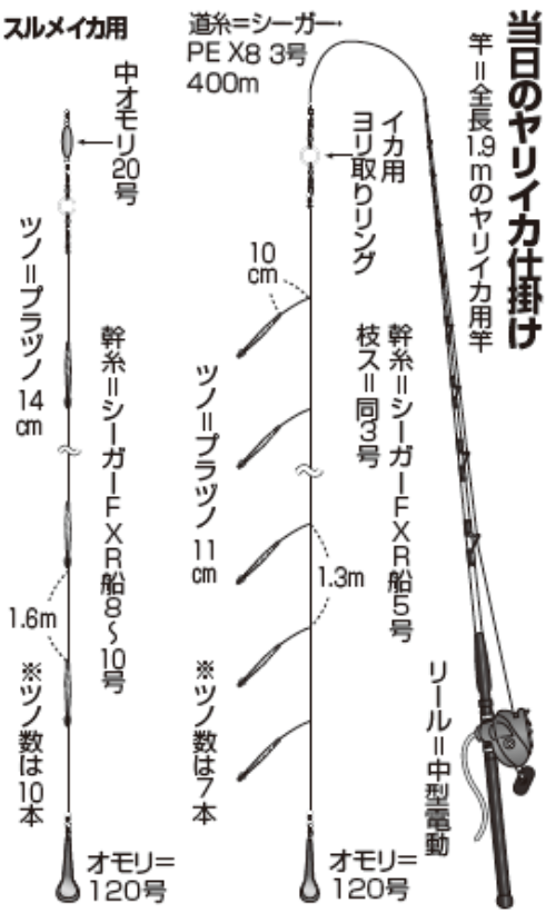 当日のヤリイカ仕掛け