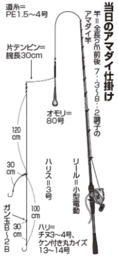 当日のアマダイ仕掛け