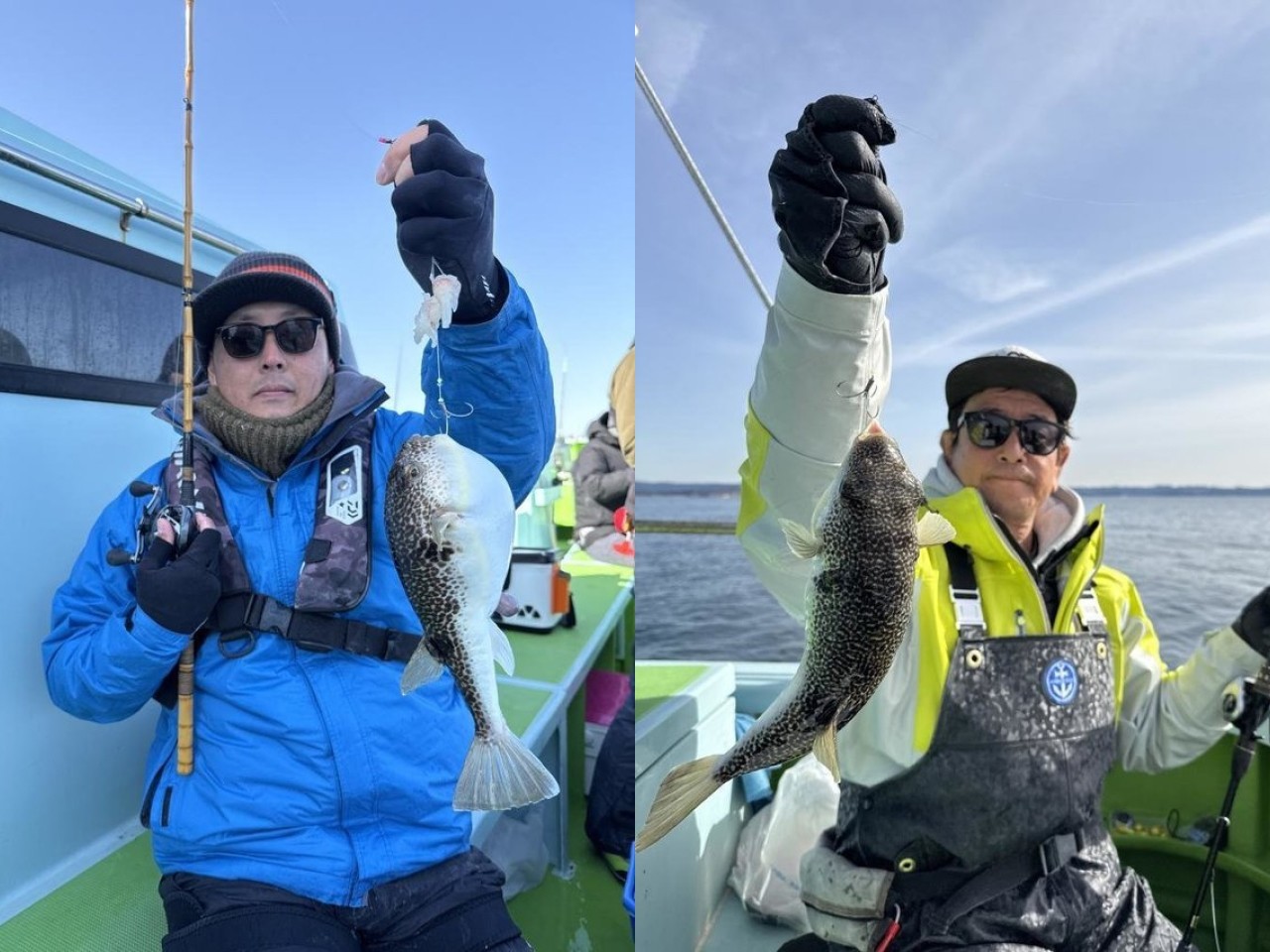 【釣果速報】神奈川県野毛屋釣船店でショウサイフグが入れ食い！おいしい魚を超新鮮な状態で食べられるのは釣り人の特権です！