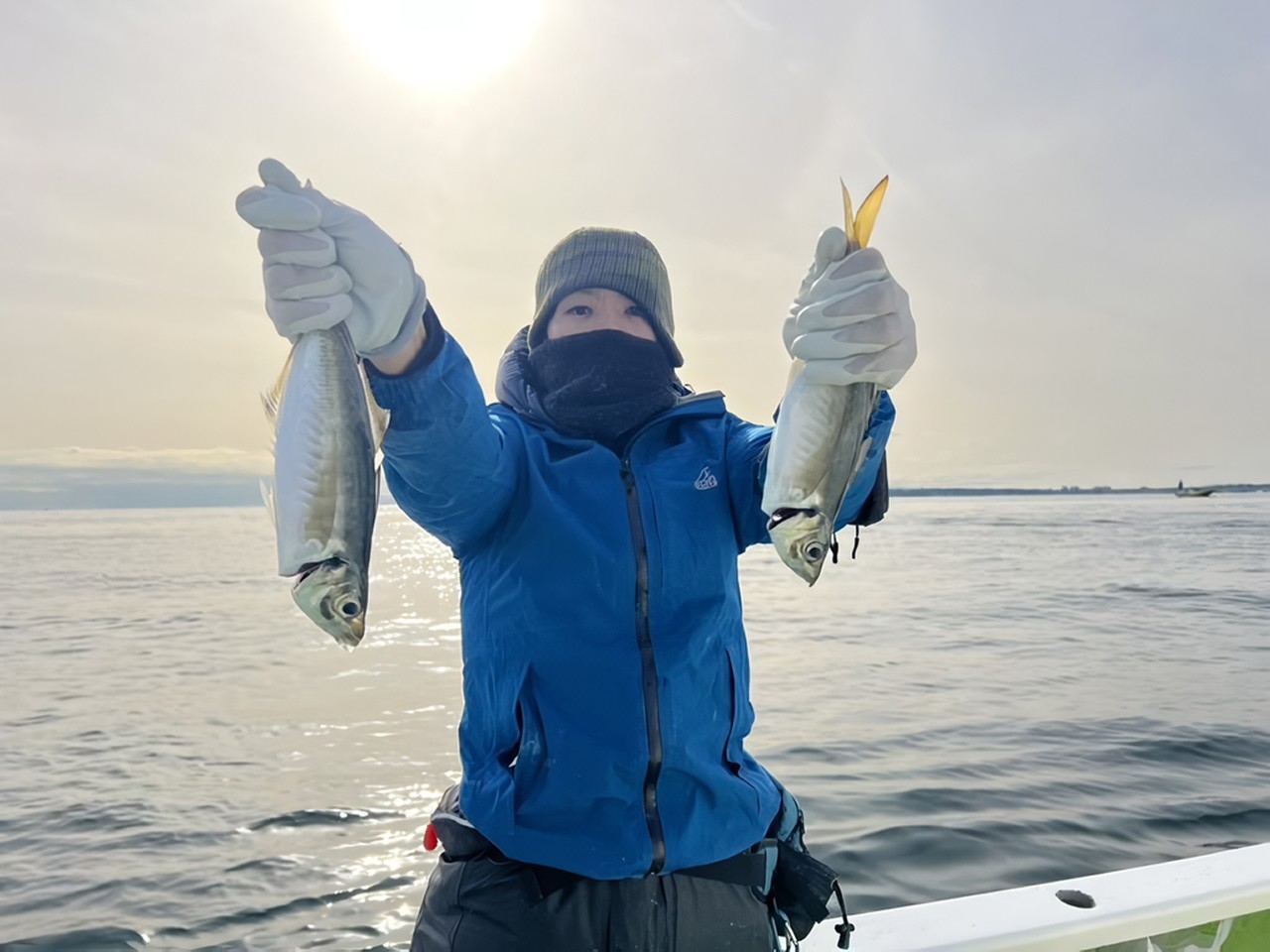 【釣果速報】神奈川県政信丸でアジ好調！！さまざまな人気魚種があなたを待ってます！今すぐ乗船してこの波に乗ろう！