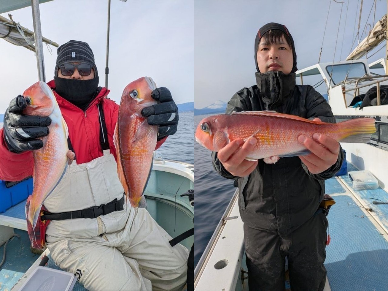 【釣果速報】神奈川県ゆうせい丸でアマダイ最大39㎝！憧れの超高級魚をゲットできるチャンスを絶対に逃すな！